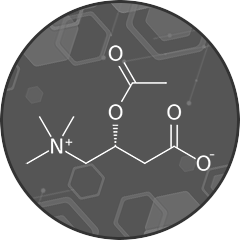 Acetyl L Carnitine