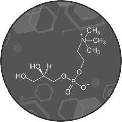 Alpha GPC