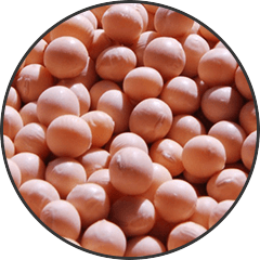 Phosphatidylserine
