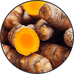 Turmeric Curcumin