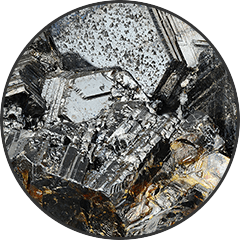 Zinc Picolinate